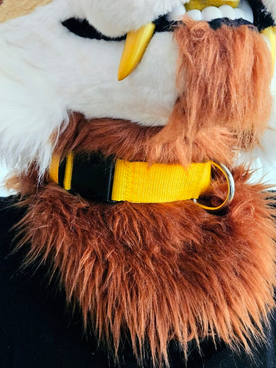 Collar